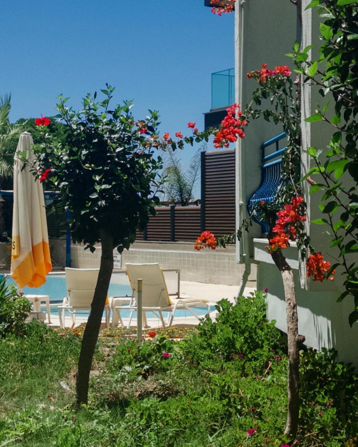 One More Day Hotel Turgutreis Exterior photo