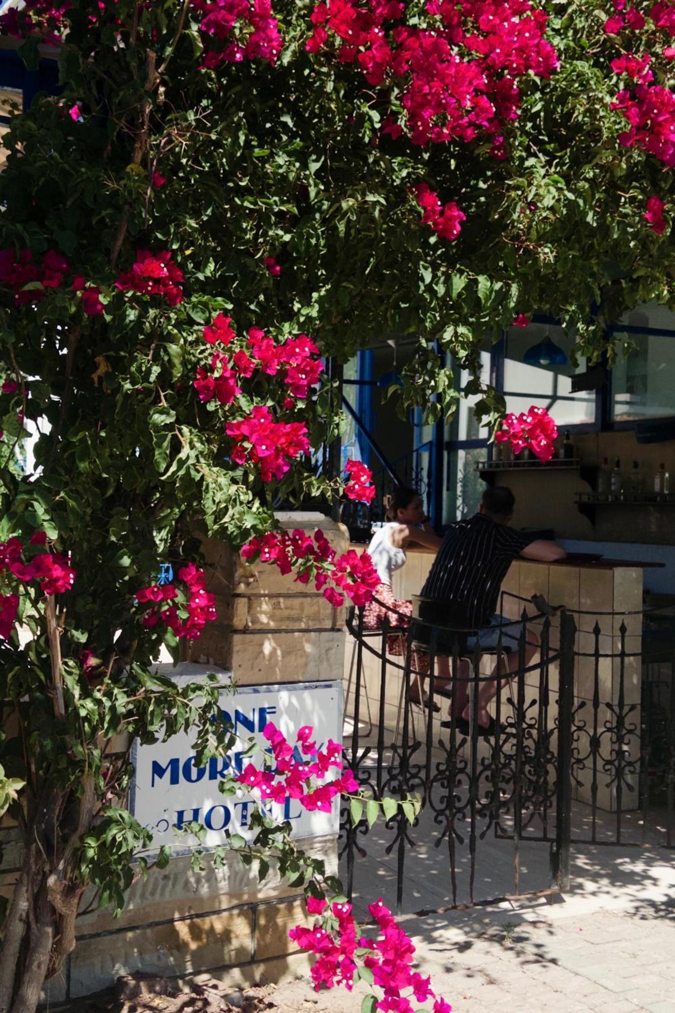 One More Day Hotel Turgutreis Exterior photo